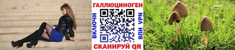 MEGA вход  Полысаево  Галлюциногенные грибы Magic Shrooms  купить наркоту 